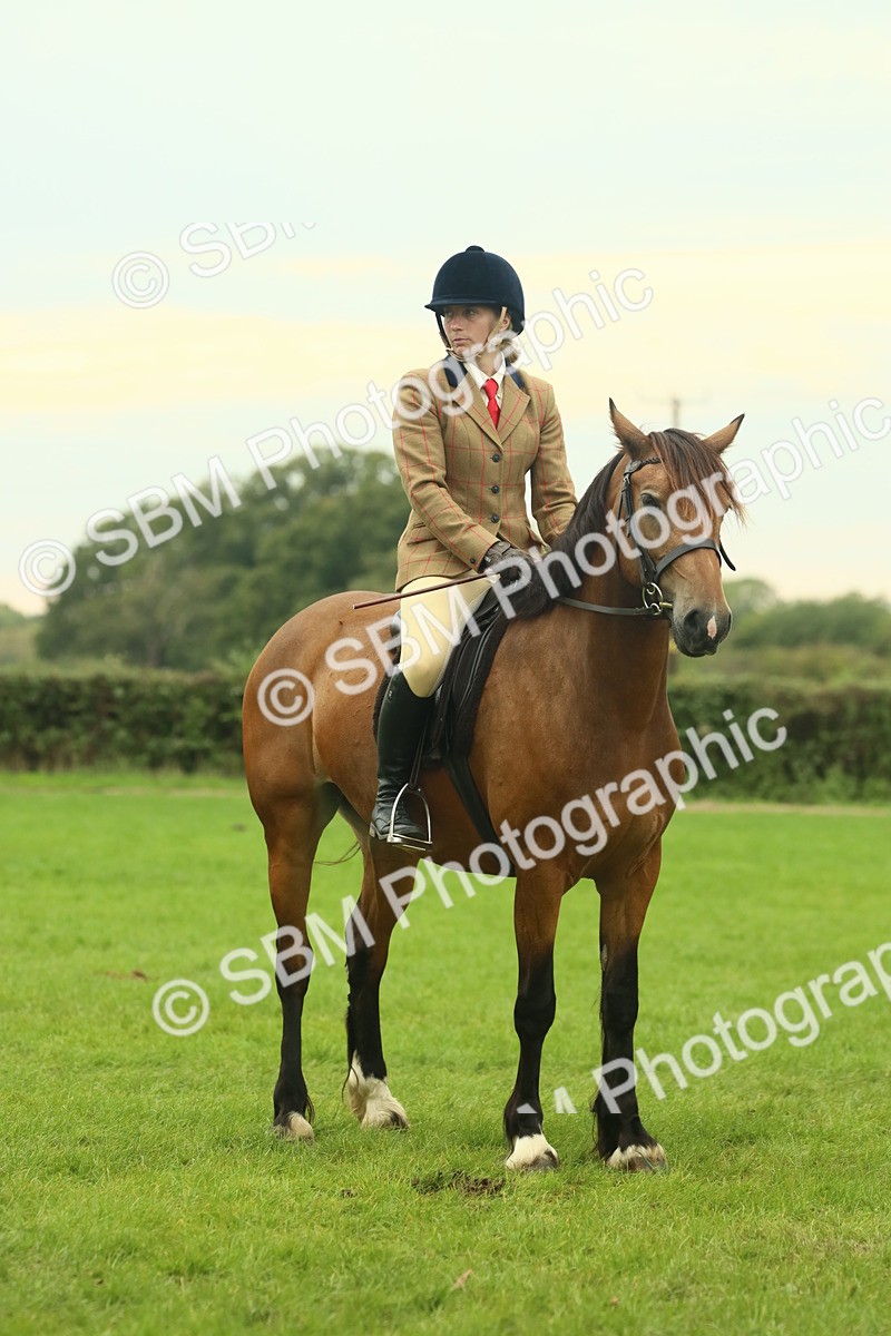 SBM_72234 - S60 - Mountain & Moorland Ridden Large Breeds
