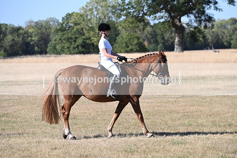 WJ6_9608 - Championship (Class's 40-44)