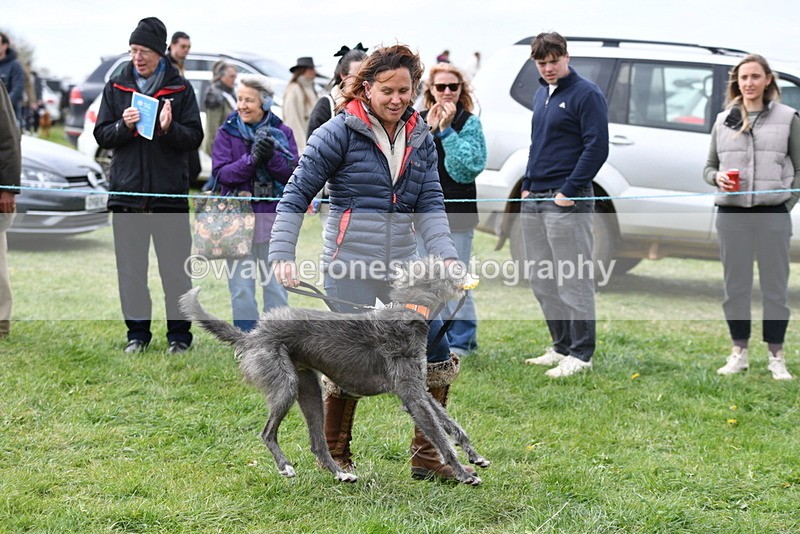 WJ5_9426 - Class 1 Best Cross Breed / Heniz 57