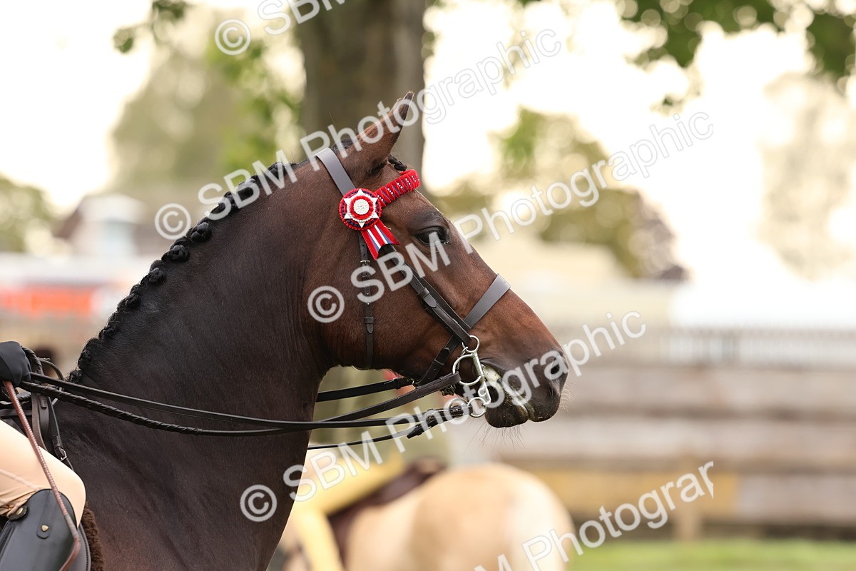 SBM_56721 - S40 - Starters Ridden Showing
