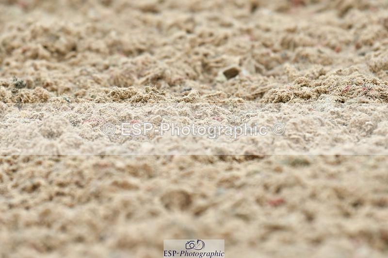 230701A-111108-05181 - Cls 5 Novice 37A