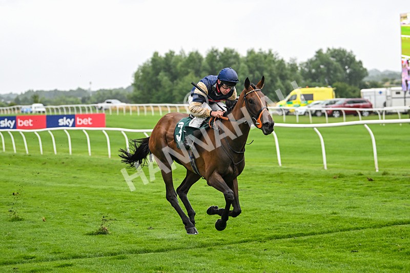 230725-Race 5-Bosphorus Rose-0478 - Race 5