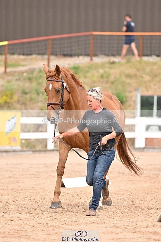 250716-154133-02121 - Trot Up 3.30 to 4.30