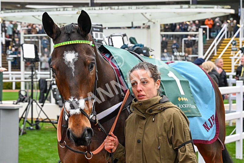 121225-Race 3-Iberico Lord-4839 - Race 3