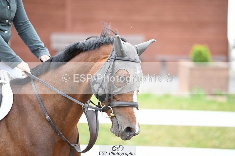 250803-084102-11616 - Cls 31 a&b British Novice & 90cm Open