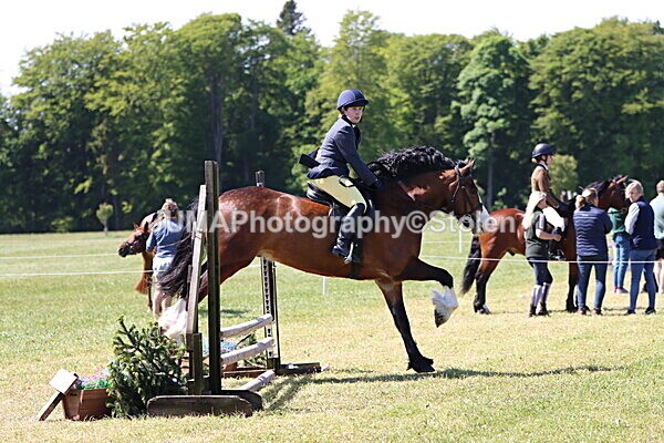 IMG_3479 - Working Hunter