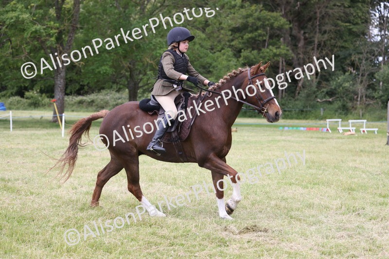 20260614-2732 - Class 22 - Open Working Hunter