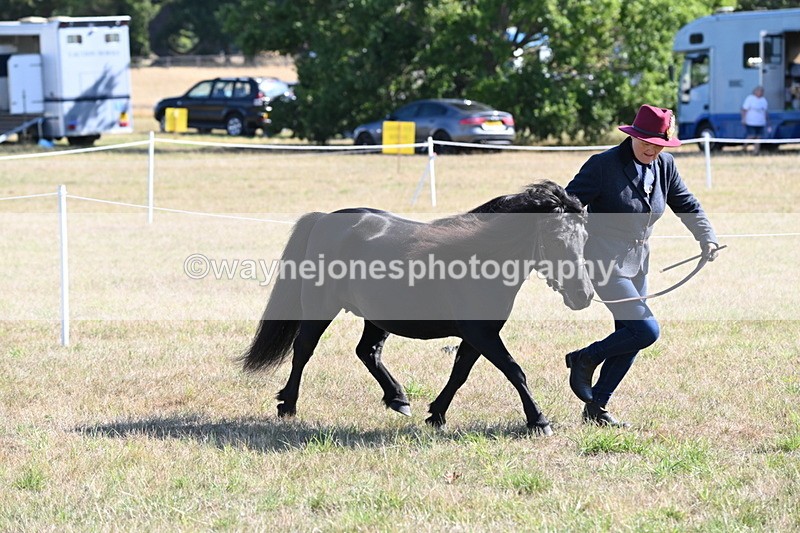 WJ6_4245 - Class 16 Condition & Turn Out
