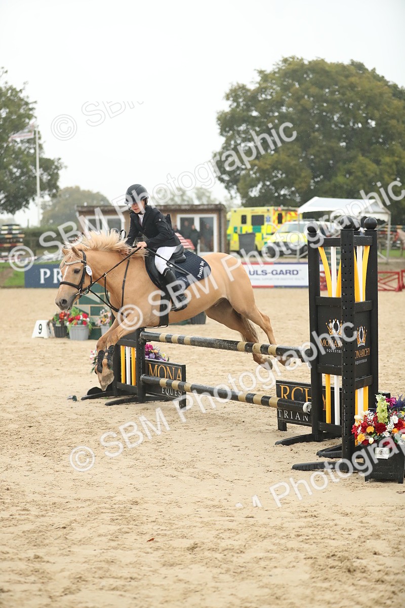 SBM_74287 - Supreme championship Junior Pony 70cm 75cm