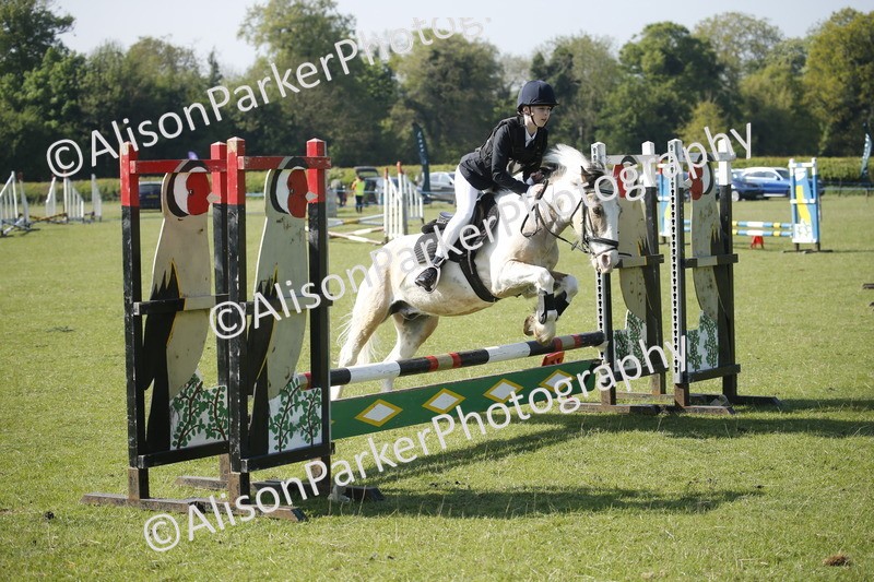 20250427-0382 - Class 12 - Rookie Jumping 40cm