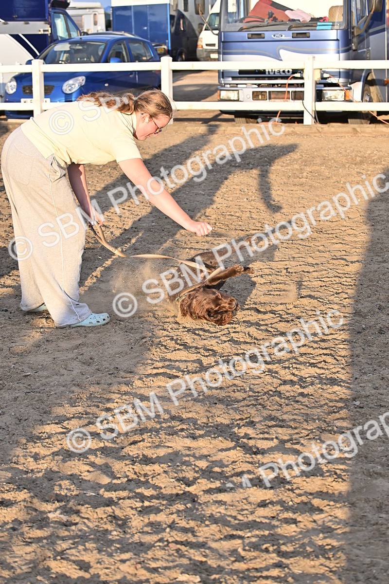 SBM_09669 - Lorry Dogs