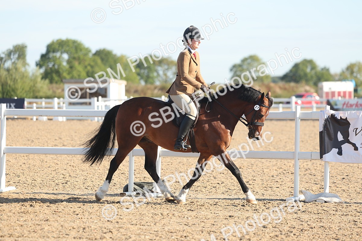 SBM_10979 - Class 302 - Ridden M&M Large Breeds