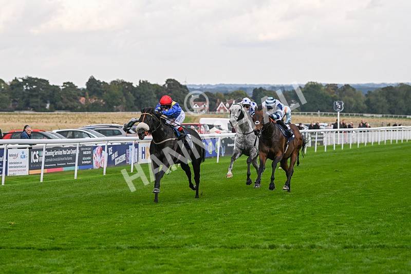 240924-Race 4-Tees Spirit-6239 - Race 4