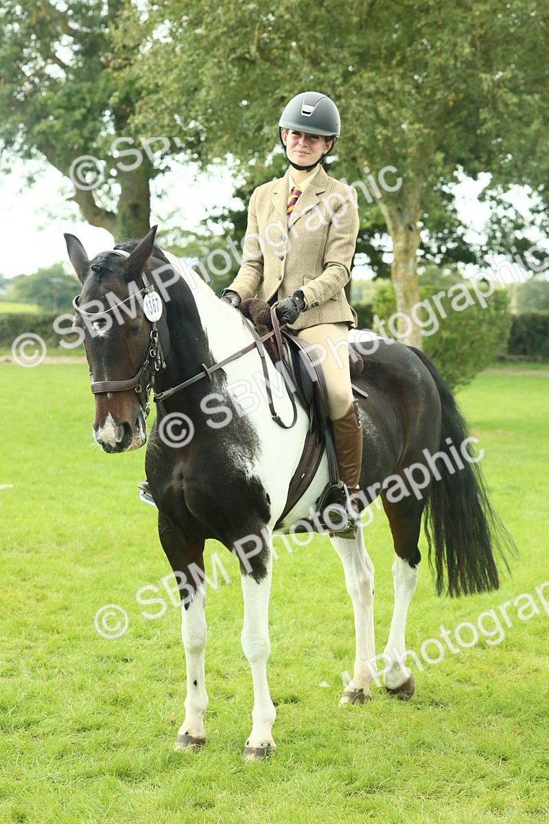 SBM_66453 - S34 - Rehabilitated Rescue Horse & Pony In Hand & Ridden