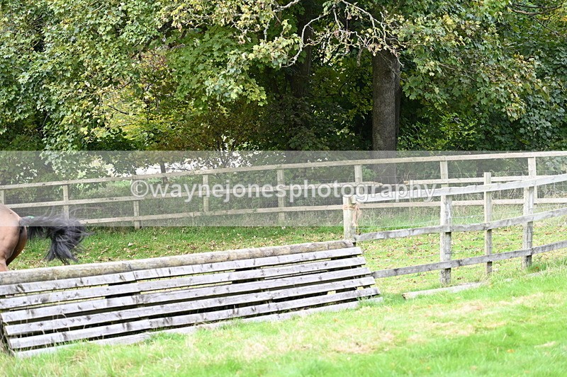 WJ7_4614 - Camera 1 Line 3