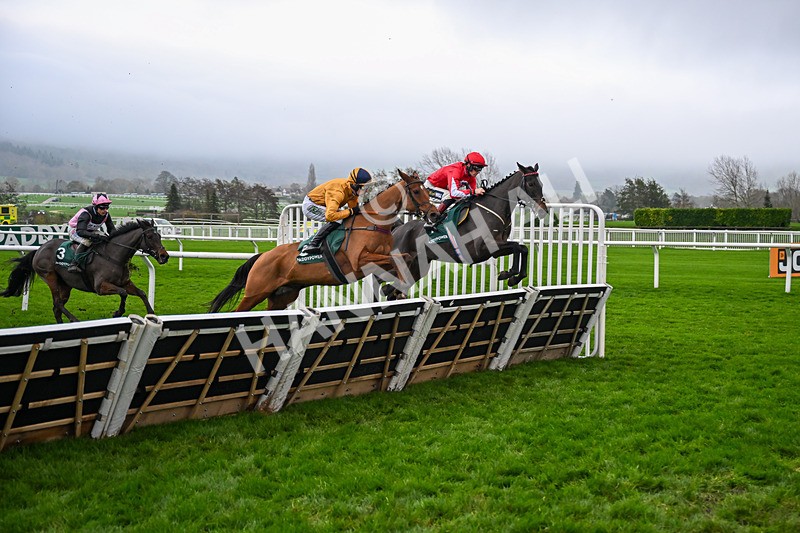 151125-Race 5-Kikijo-3930 - Race 5