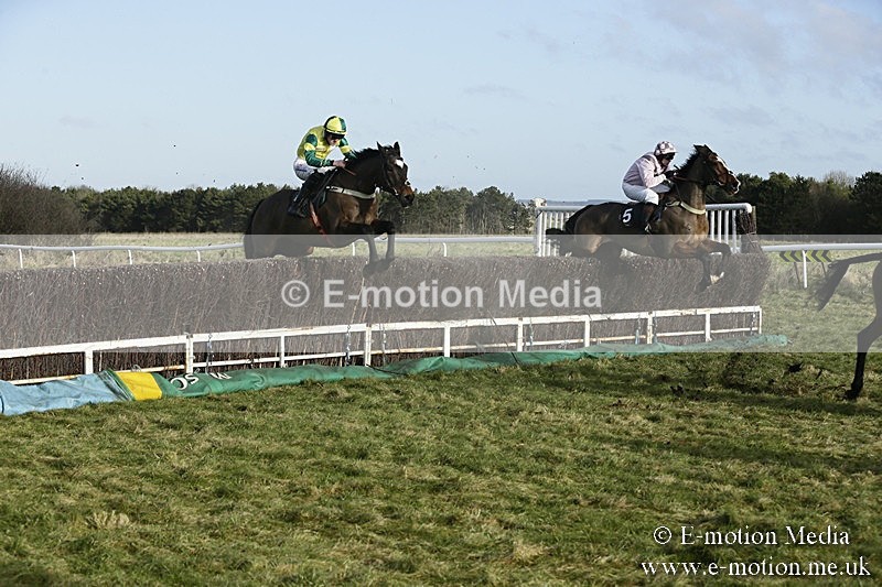 PtP 070118 -63 - Larkhill Racing Club Point to Point Larkhill 07/01/2018