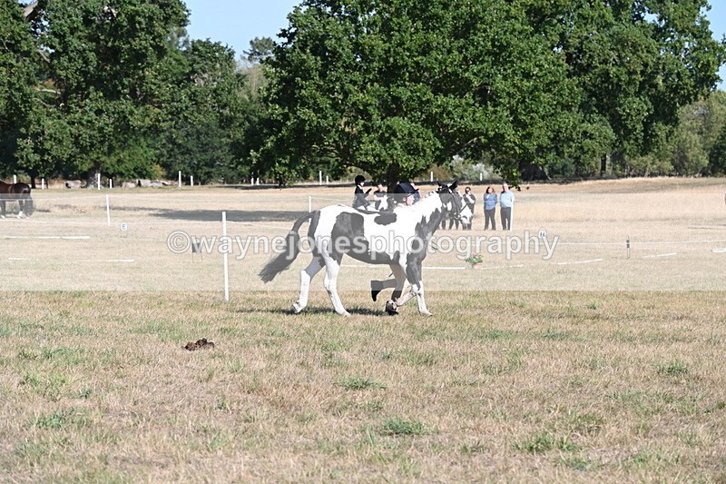 WJ6_7236 - Class 33 Rescue Pony