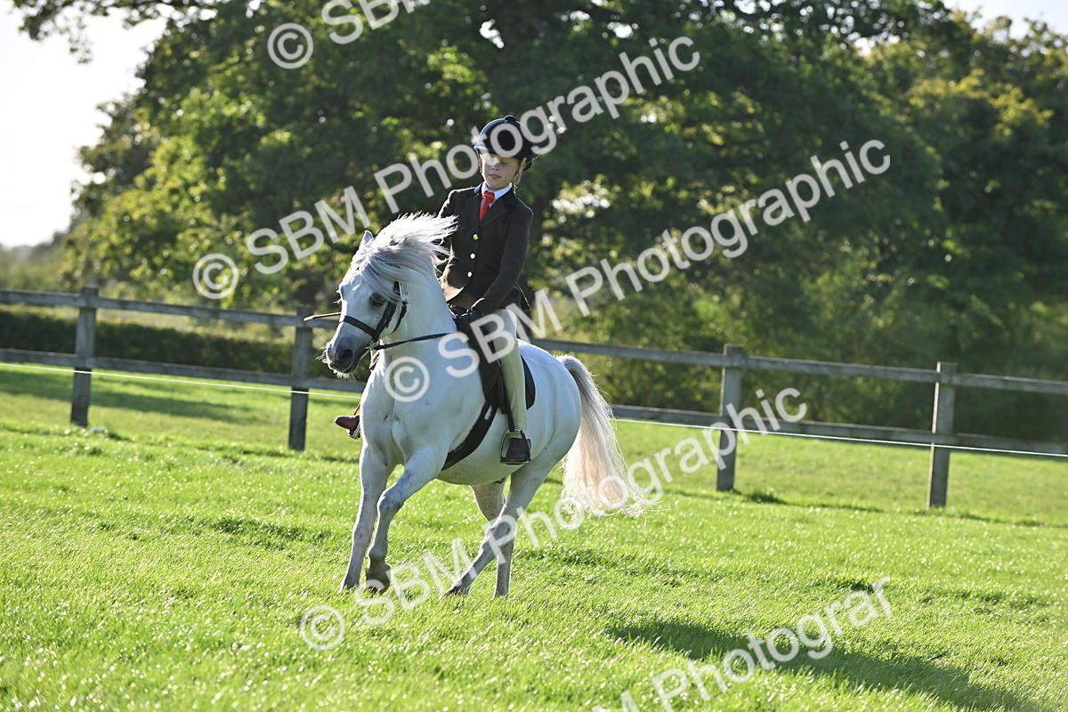 SBM_53014 - S23 - First Ridden Mountain & Moorland Pony
