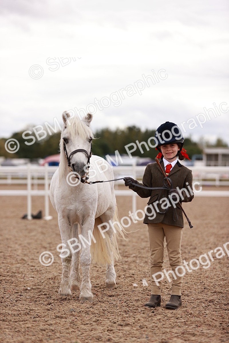 SBM_18570 - Class 421 - Childs Best Friend - Jnr