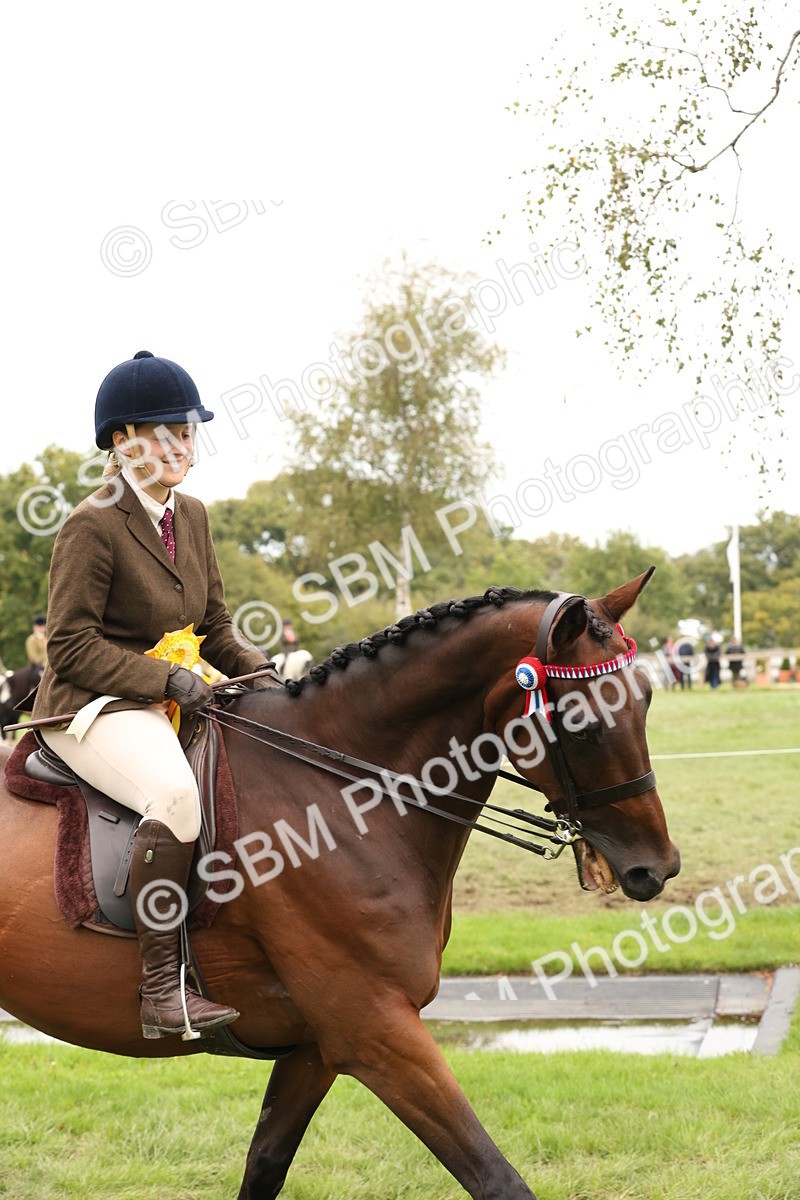 SBM_64357 - S65 - Riding Horse & Hack & Thoroughbred Ridden