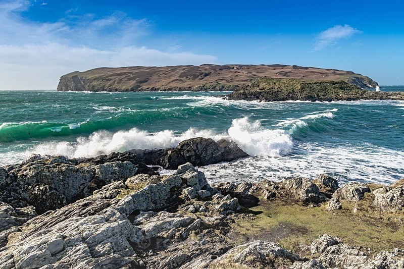 7L9A1587 - Sea of Man