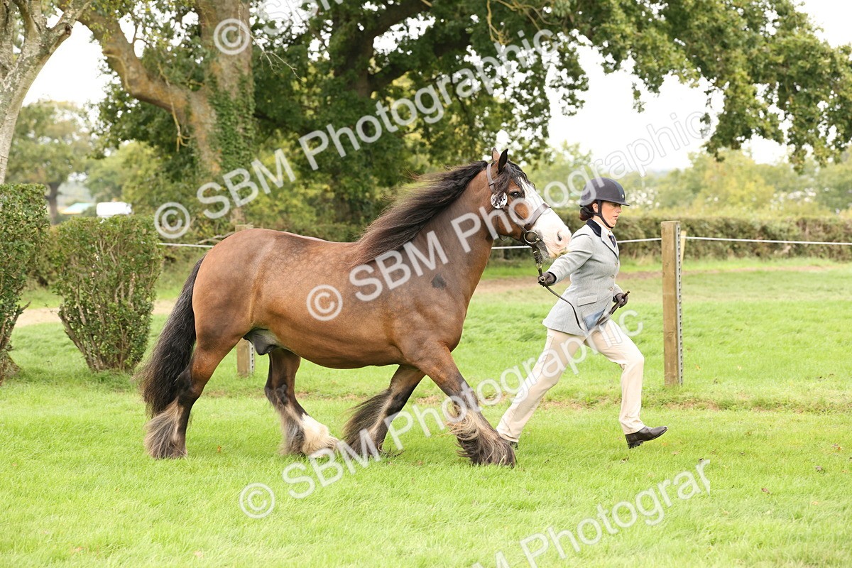 SBM_59238 - S57 - Traditional Cob In Hand