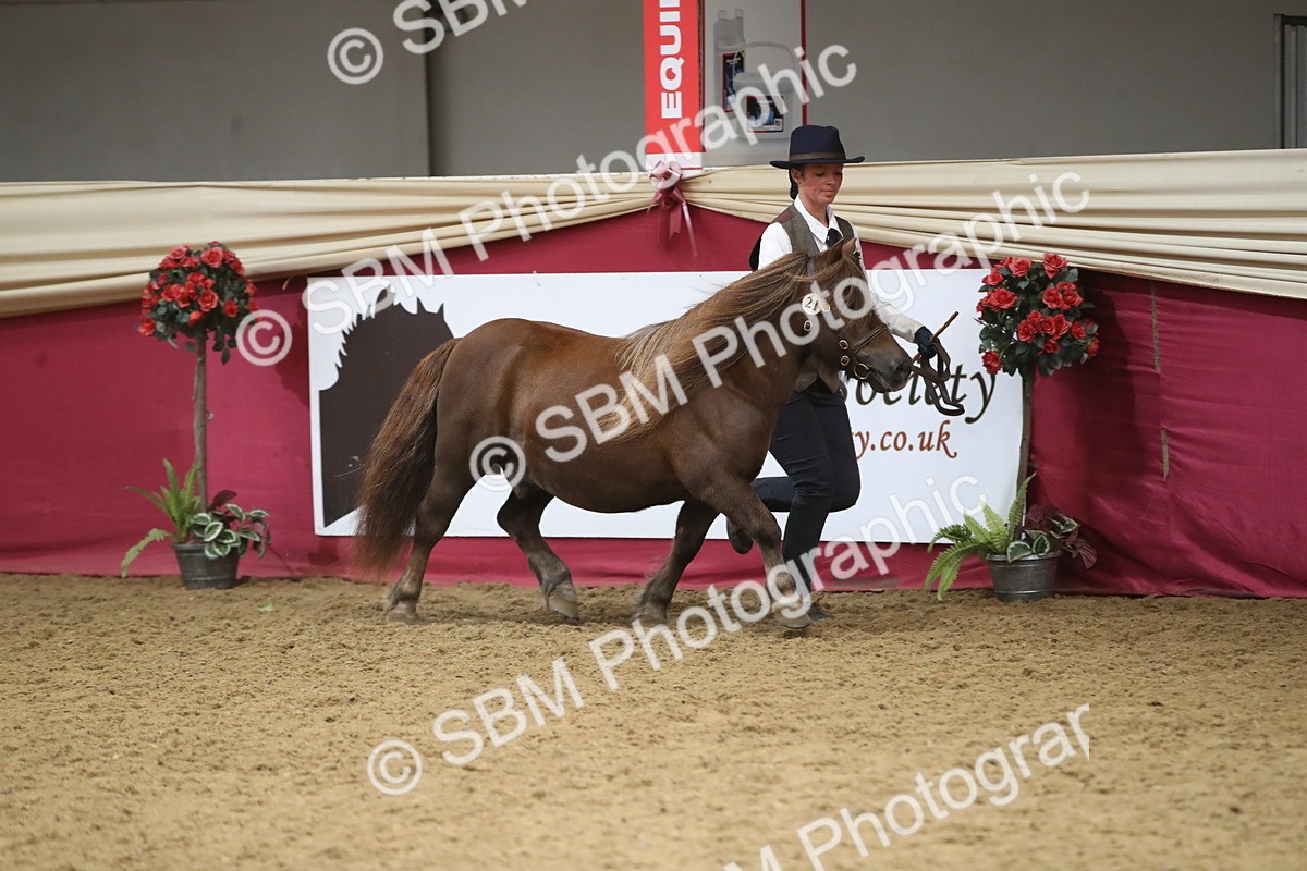 SBM_05299 - Class 8R - Regional IH Veteran