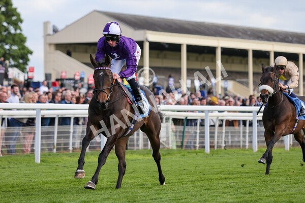 yr12052022r6-22 - Race 6 4.45pm Frank Whittle Partnership EBFstallions.com Maiden Stakes