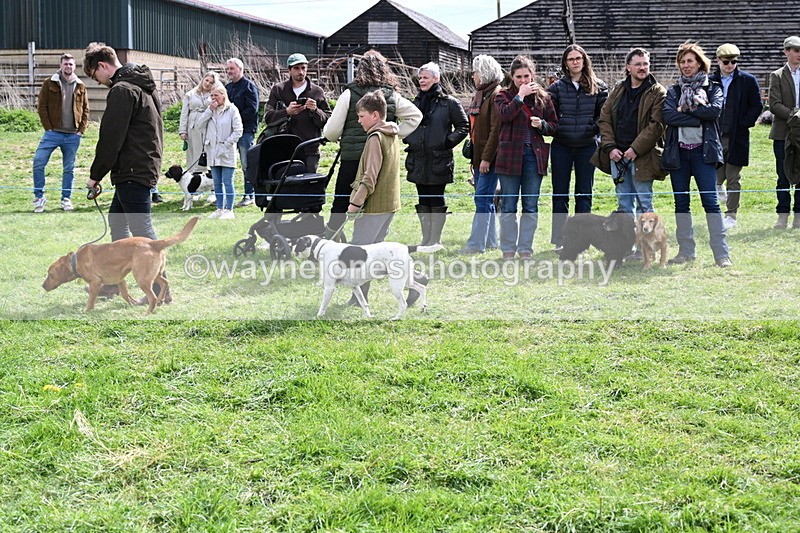 WJ6_8241 - Class 4 Prettiest Bitch