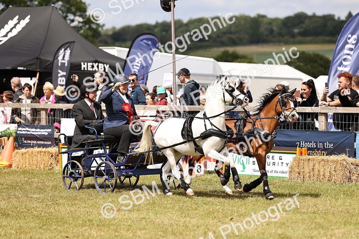 SBM_16127 - Class 91 - Scurry  exceeding 122cms