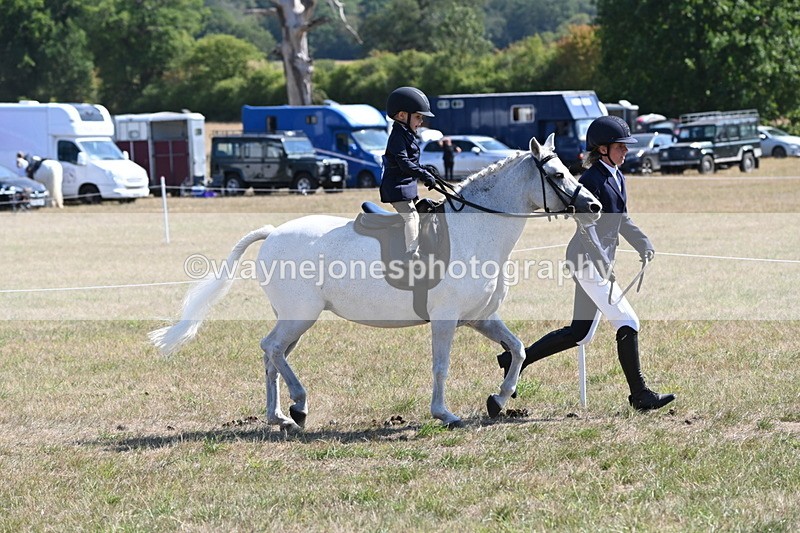 WJ6_7766 - Class 36 Lead Rein