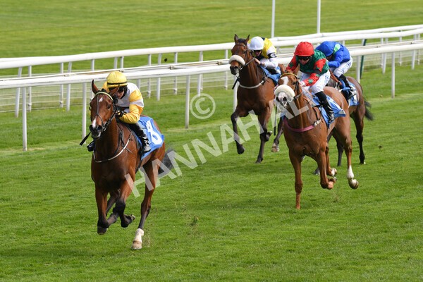 yr12052021r5-10 - Race 5 3.40pm Sky Bet Stakes