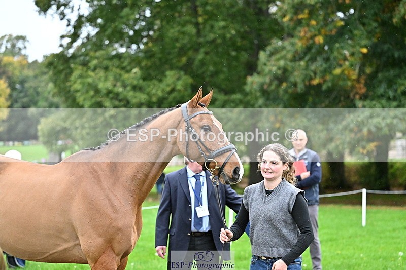 251022A-160320-00659 - A-005-Safia.Woodward