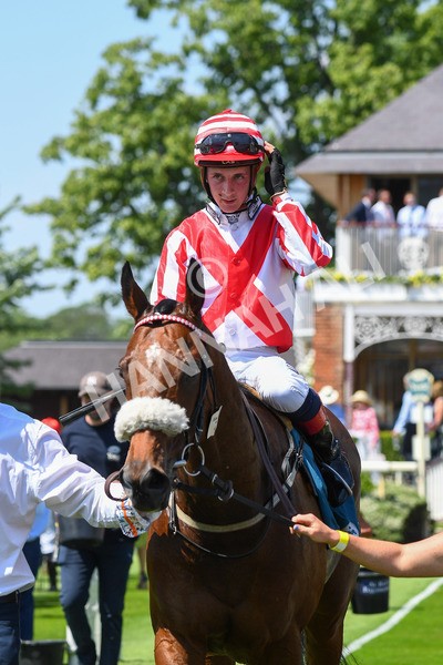 160623-Race 1-Menelaus-0216 - Race 1 1.50pm Andy Thornton Hospitality Furniture Apprentice Handicap