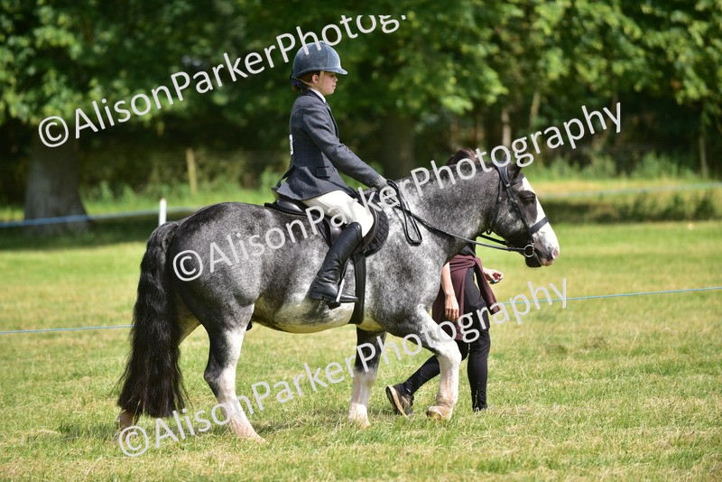 20260614-0393 - Class 10 - Best Turned Out