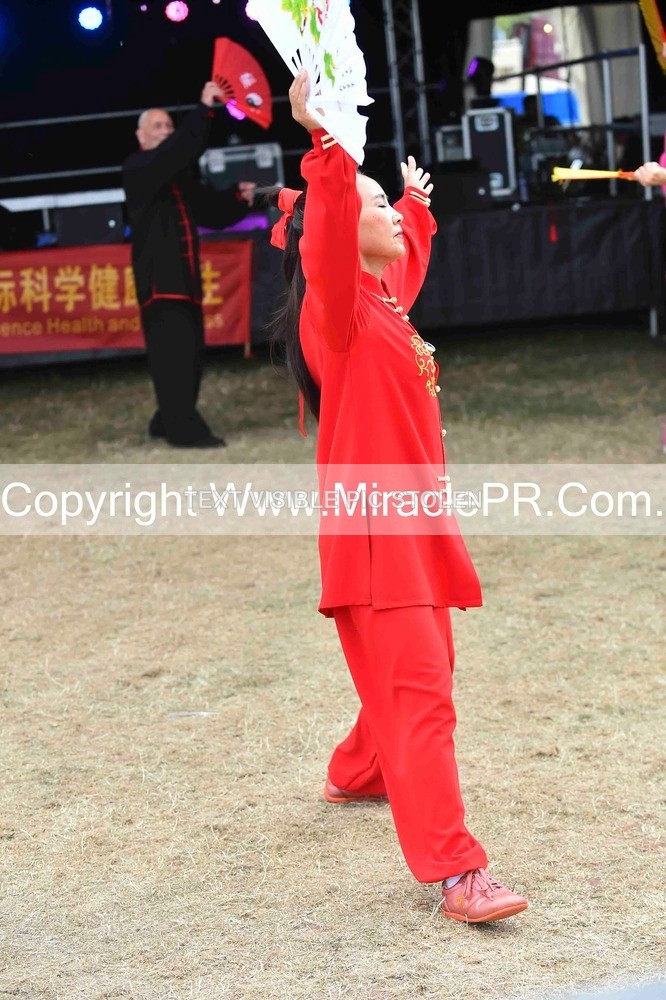 SH4_1599 - Tai Chi with Lisa Kay.