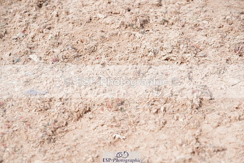 250511-152240-14694 - Cls 35 1.10m Amateur Quali and Open