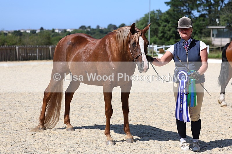 3E7A9965 - In Hand Championship