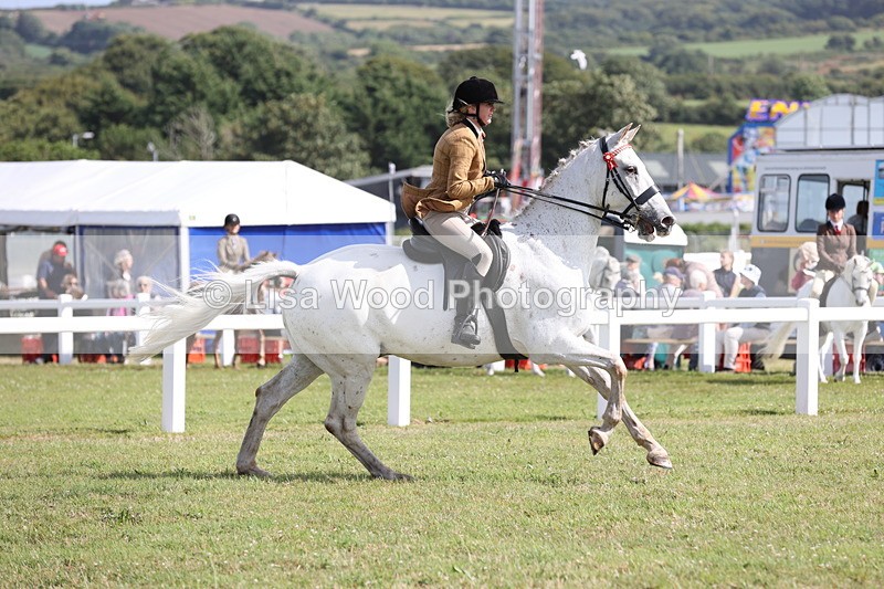 JPP_2507 - Class 20: Working Hunter 70cm