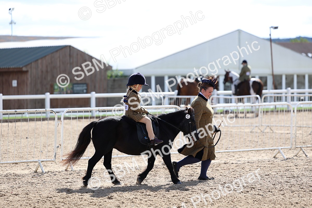 SBM_13049 - Class 309 - Lead Rein Pony