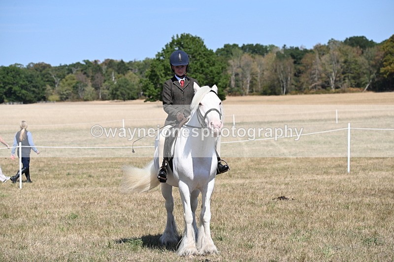 WJ6_9038 - Class 38 Ridden Riding Horse/Pony
