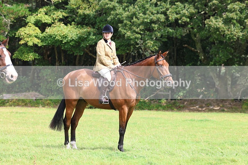 3E7A5884 - Class 26 and 27: 70cm Working Hunter