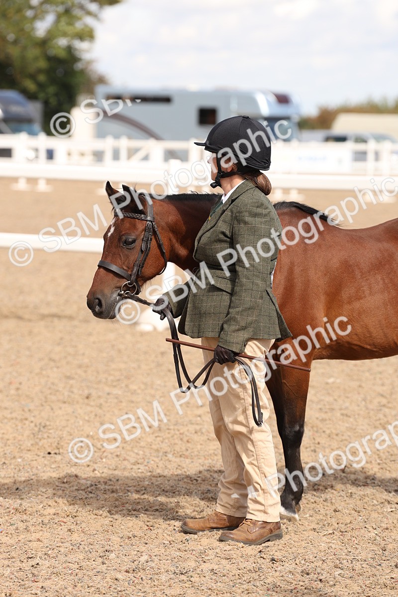 SBM_13972 - Class 205 - IH Show Pony - Show Hunter Pony