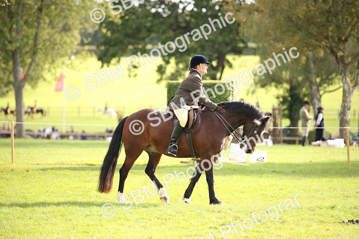 SBM_50169 - S26 - Young Veteran - Ridden