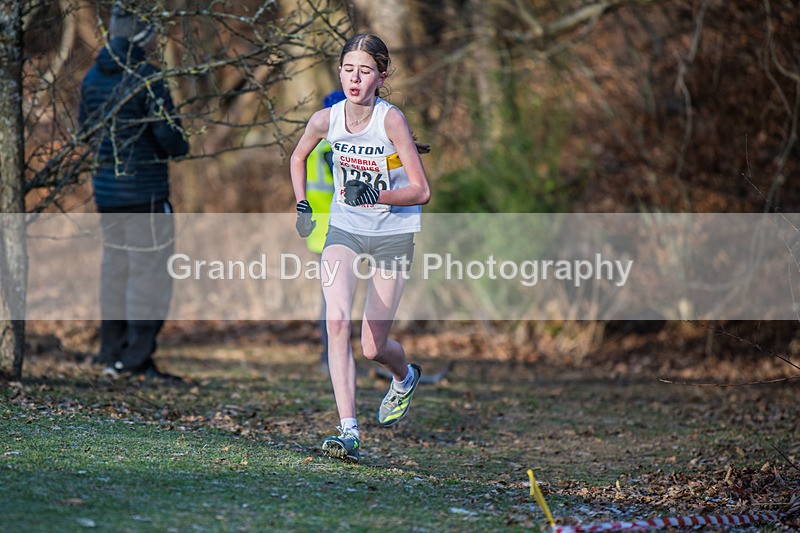 Cumbria XC-442 - Cumbria Cross Country Championships (Junior & Senior Races) Saturday 3rd January 2026