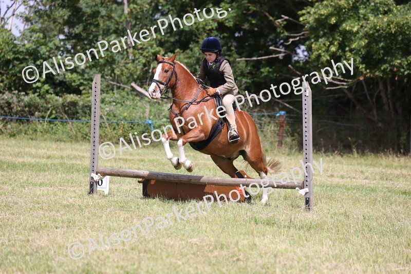 20260614-1932 - Class 21 - Novice Working Hunter Pony