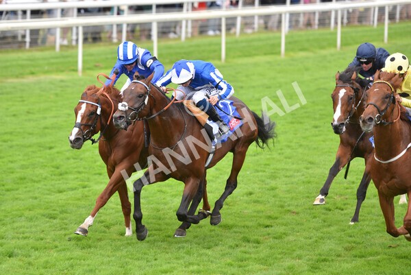 yr24072021r3-19 - Race 3 3.15pm Sky Bet York Stakes