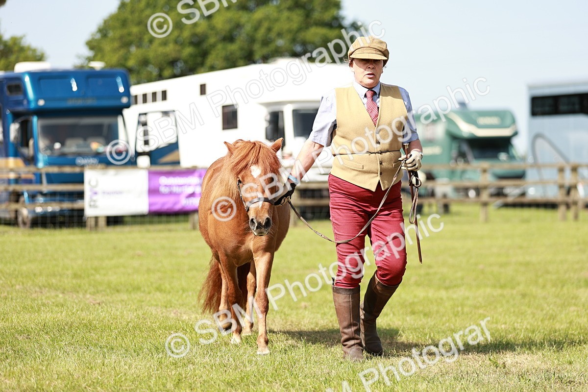 SBM_01751 - Class 14-23 - Mountain & Moorland In Hand Non Welsh