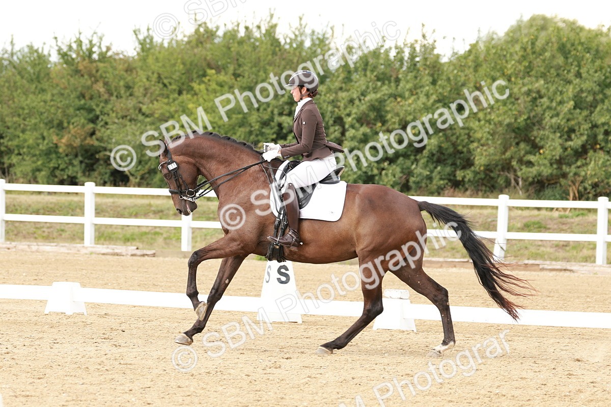 SBM_002393 - Class 11 - Medium 6